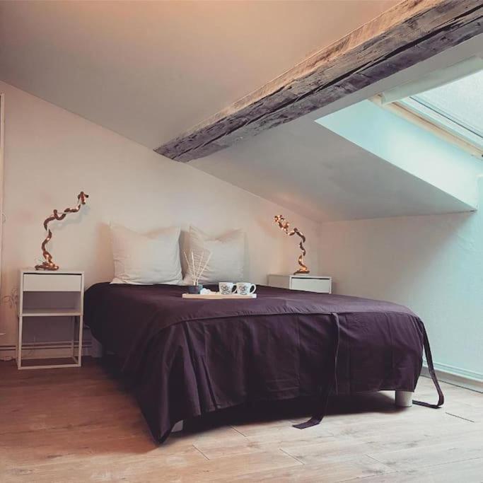 Nancy Appartement En Triplex Plein Centre 외부 사진